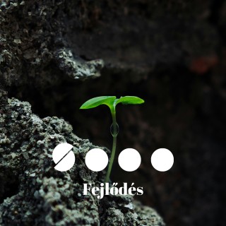 Mersz még várni?... | FEJLŐDÉS IV