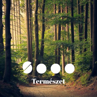 Mesél rólad a fád | TERMÉSZET V