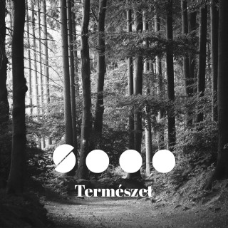 Mikor voltál utoljára igazán csendben? | TERMÉSZET I 