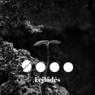 Valami régi, valami új | FEJLŐDÉS I